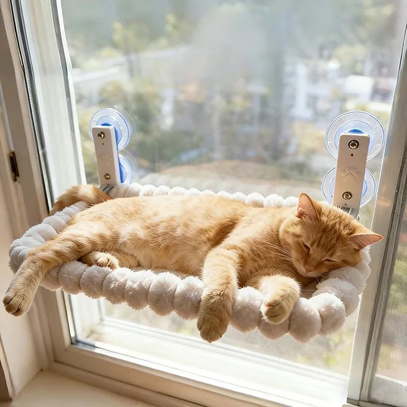 Chat roux endormi sur un hamac de fenêtre fixé à la vitre par quatre ventouses