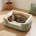 Panier douillet vert sauge pour chat, un chat tigré dort en boule dans un salon lumineux