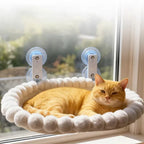 Chat roux allongé dans un hamac ovale crème à rebord rembourré, fixé à une fenêtre par quatre ventouses.