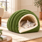 Maison douillette verte en velours côtelé, avec un chat au repos dans un intérieur lumineux