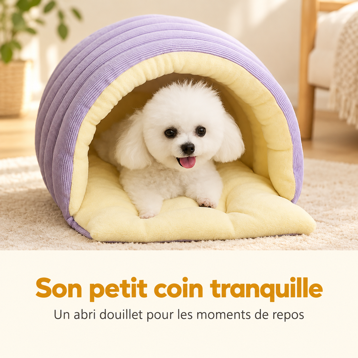 Petit chien installé dans la maison lilas, avec doublure crème et rabat ouvert